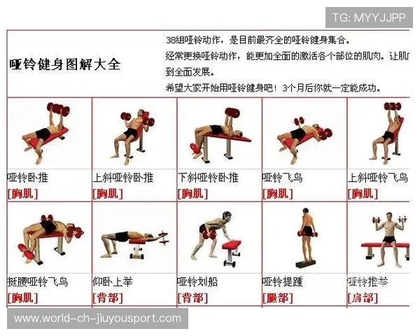 记录城市健身人群活跃度变化的新闻分析数据模型,健身人群数量 记录城市健身人群活跃度变化的新闻分析数据模型,健身人群数量